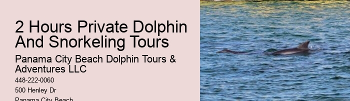 Panama City Beach dolphin expedition cruises