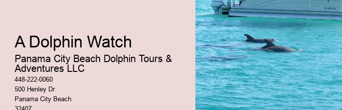 How Much Does Dolphin Cove Cost