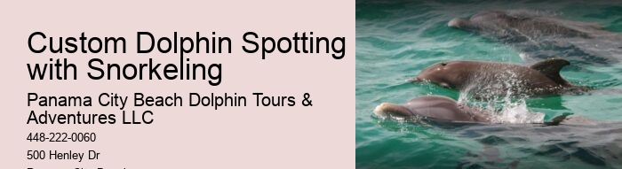 Tailored Dolphin Safari and Snorkeling Adventures