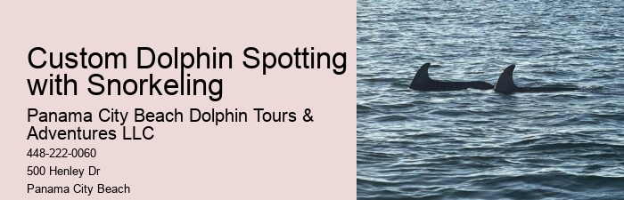 Is swimming with dolphins an additional cost on the tour