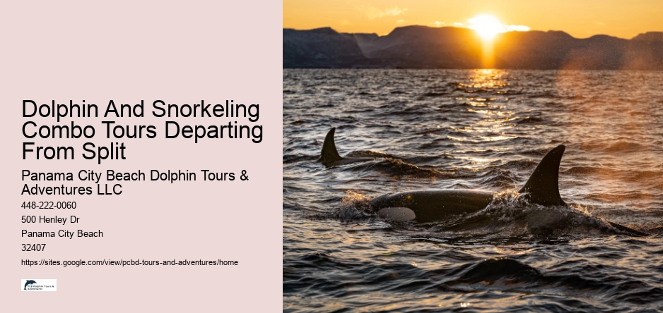 Dolphin And Snorkeling Combo Tours Departing From Split