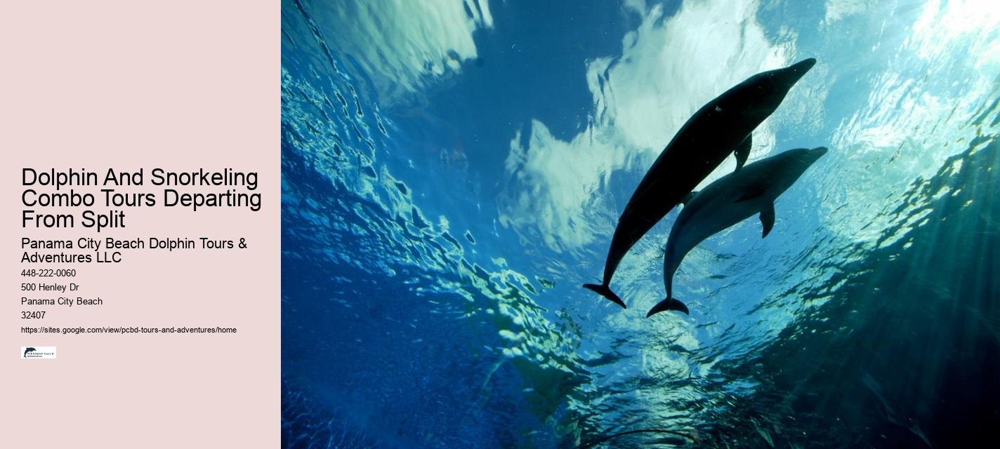 Custom Dolphin Encounter and Snorkeling Adventures