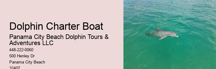 Split Budget-friendly Dolphin Snorkeling Excursions