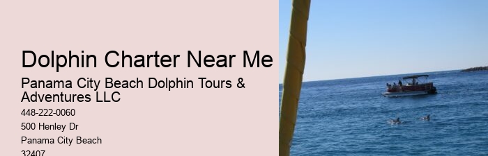 Panama City Beach Dolphin Tours & More