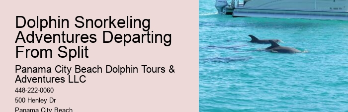 Dolphin Snorkeling Cruise