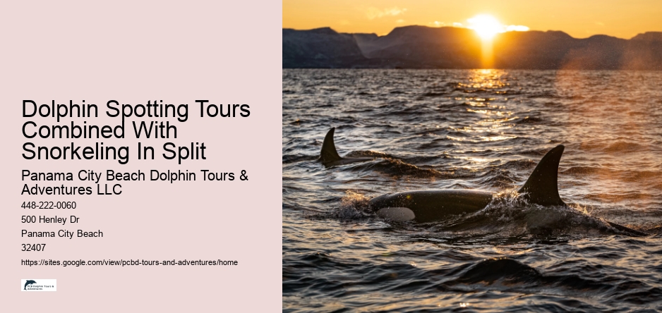 Dolphin Spotting Tours Combined With Snorkeling In Split