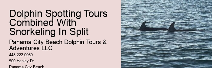 What type of dolphin species might we encounter on the tour