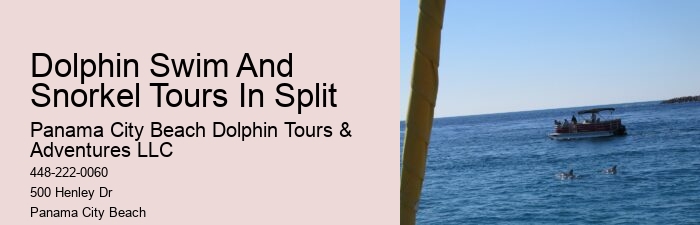 Split Group Tours For Snorkeling And Dolphin Watching