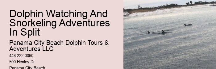 Split Private Charters For Dolphin And Snorkeling