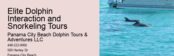 PCB Dolphin Sightseeing Trips