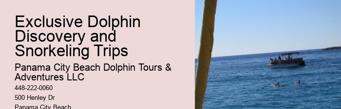 Dolphin Excursions at PCB