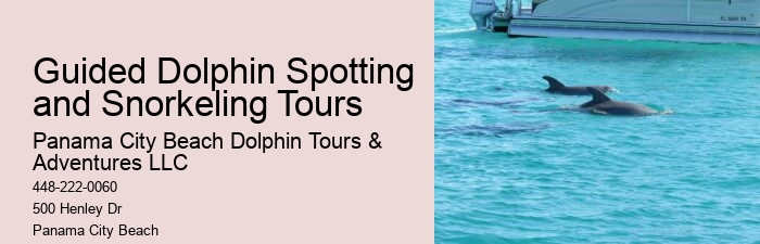 Dolphin Tours And Shell Island Panama City Beach