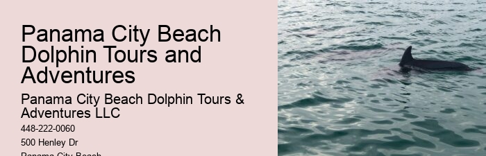 What is the duration of the dolphin watching portion of the tour