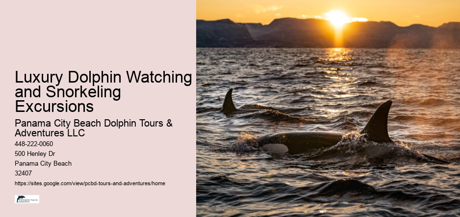 Luxury Dolphin Watching and Snorkeling Excursions