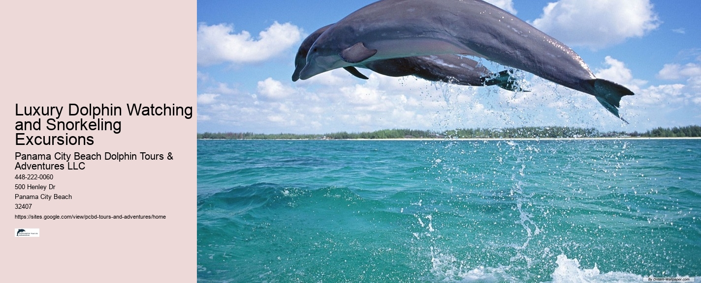 Panama City Beach dolphin excursion trips