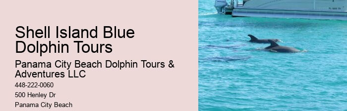 Exclusive Dolphin Snorkeling Excursions