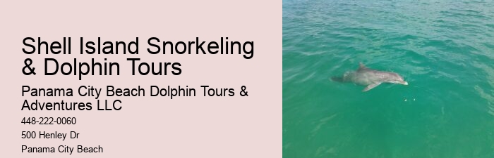 Snorkeling Tour