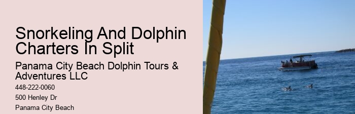 Salty Mary Dolphin And Snorkel Tours