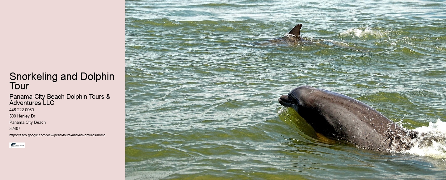 Are there any age restrictions for dolphin tours in Panama City Beach