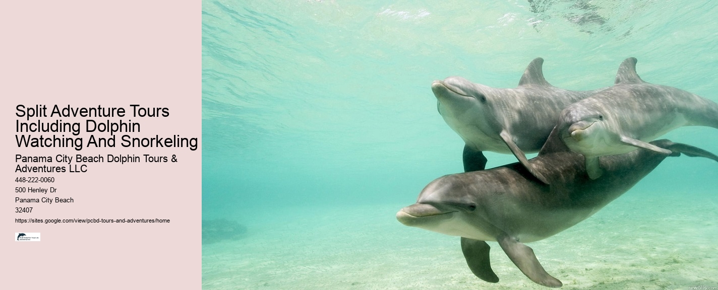 Private Dolphin Tours Gulf Shores