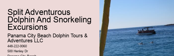 Swimming With Captive Dolphins