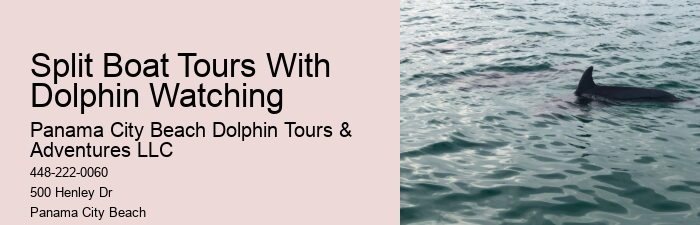 Split Coastal Tours With Dolphin Spotting And Snorkeling