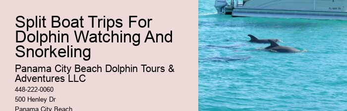 Dolphin Tours & Snorkeling Tours