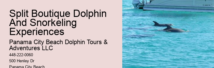 Tailored Dolphin Safari with Snorkeling