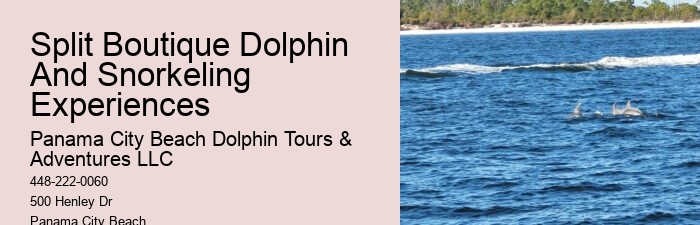 Split Luxury Dolphin And Snorkeling Yacht Charters