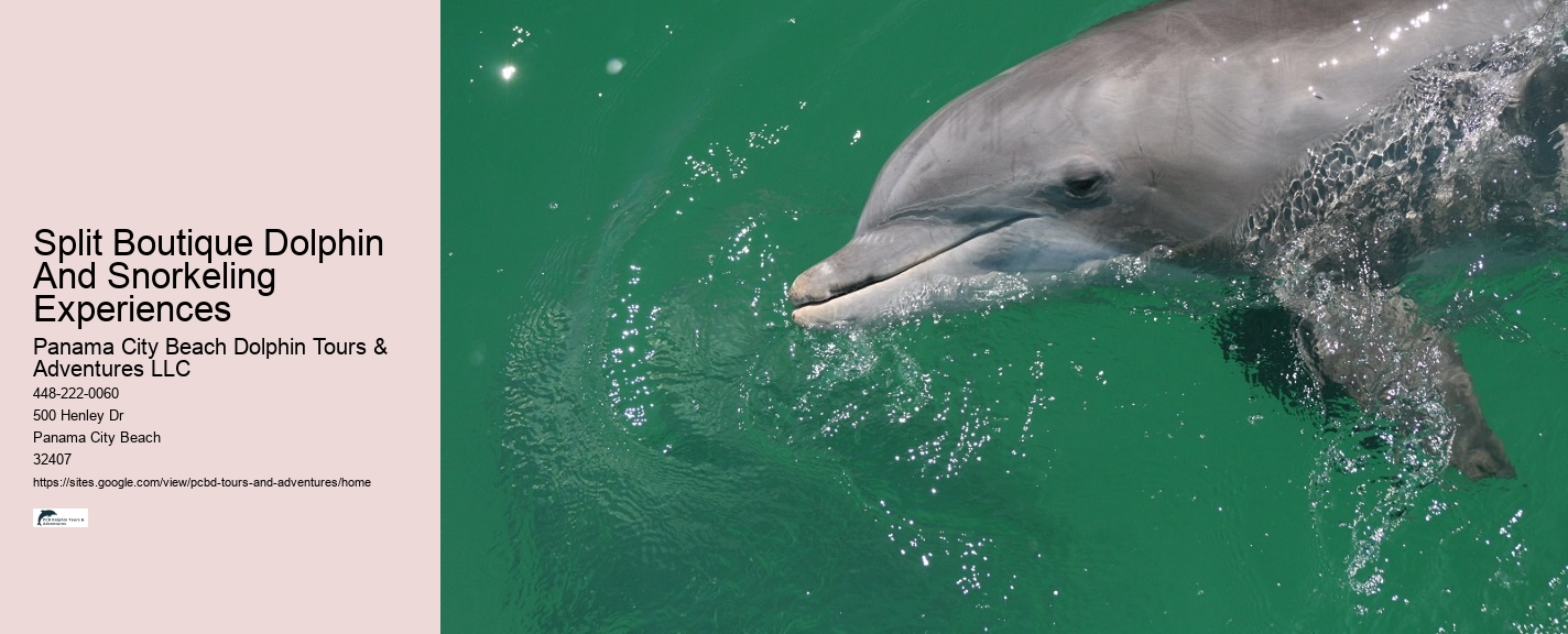 Panama City Beach Dolphin Adventure Cruises