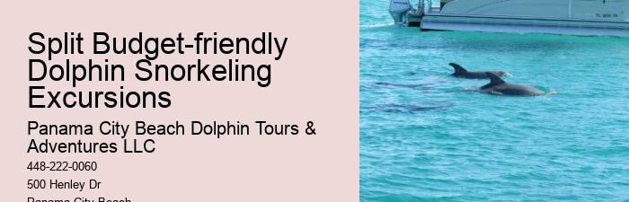 What Is The Dolphin Capital Of The World