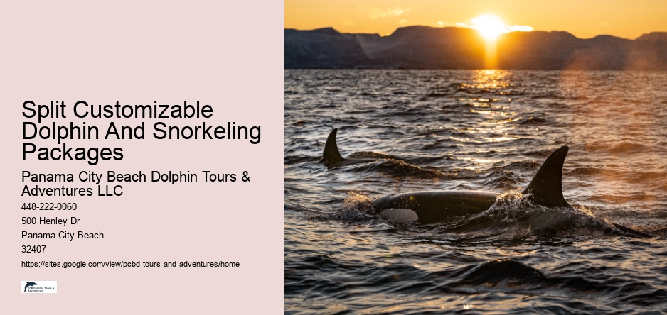 Split Customizable Dolphin And Snorkeling Packages