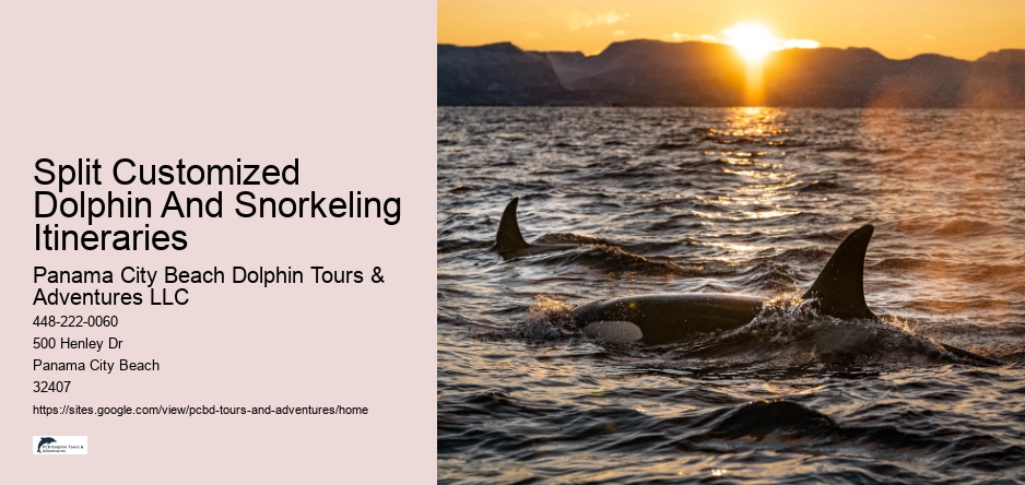 Split Customized Dolphin And Snorkeling Itineraries