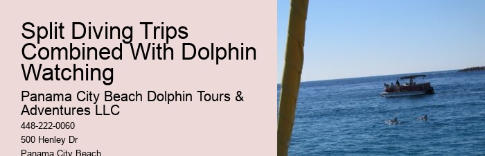 Split Boat Tours With Dolphin Watching