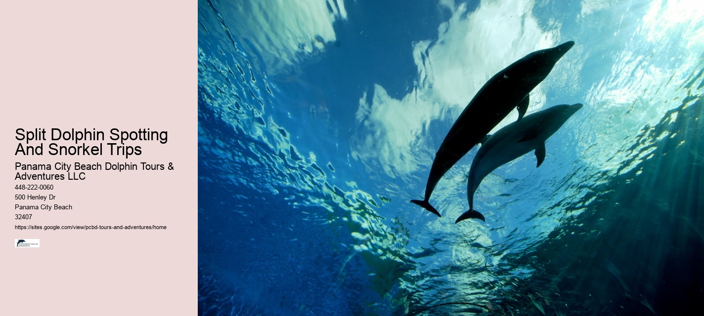 Split Snorkeling And Dolphin Sightseeing Expeditions