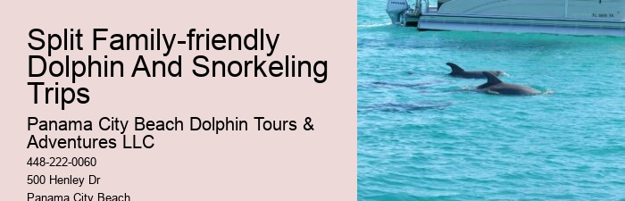 Split Memorable Dolphin And Snorkeling Adventures