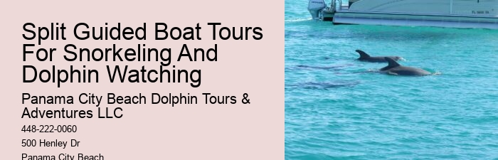 What type of boats are used for dolphin tours in Panama City Beach