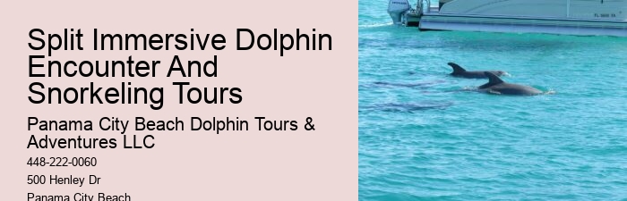 Are dolphin tours in Panama City Beach suitable for children