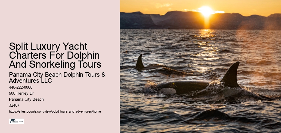 Split Luxury Yacht Charters For Dolphin And Snorkeling Tours