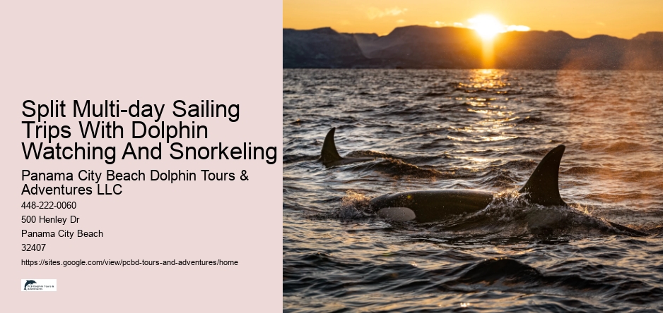 Split Multi-day Sailing Trips With Dolphin Watching And Snorkeling