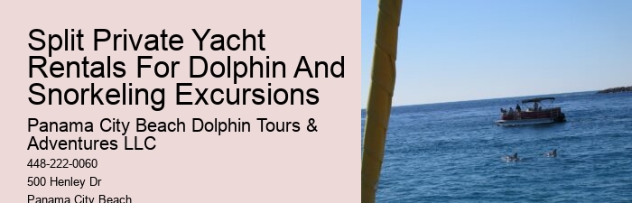 2 Hour Private Dolphin Tour