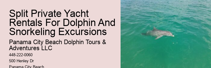 Panama City Beach Private Dolphin Tours