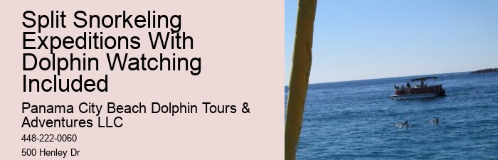 Split All-inclusive Dolphin And Snorkeling Vacations