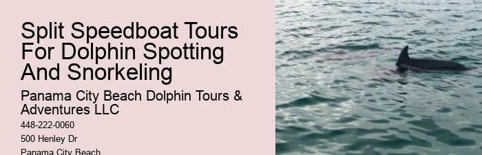 PCB Dolphin Tours