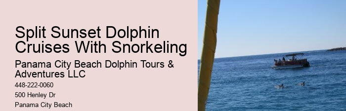 Exclusive Dolphin Discovery and Snorkeling Trips