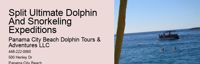 Panama City Beach Dolphin Trips