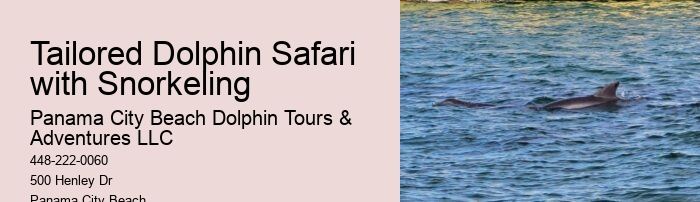 Small Group 2 Hour Dolphin Cruise With Snorkeling To