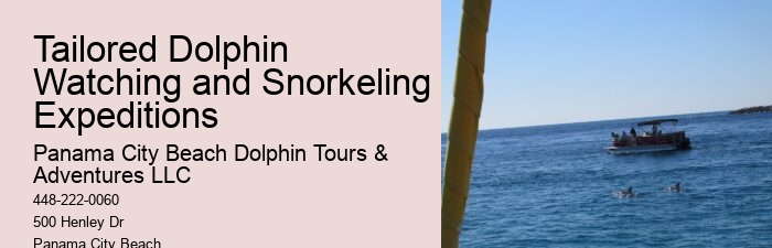 Split Unforgettable Dolphin And Snorkeling Experiences